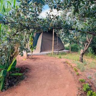 Aqua Nature Camp Site & Farm - - 3