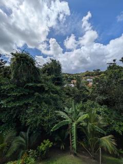 Appartement T3 vue luxuriante - Les Trois-Îlets - 5