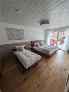 Schwarzer Adler - Ferienwohnung Storchennest - Ipsheim - 3