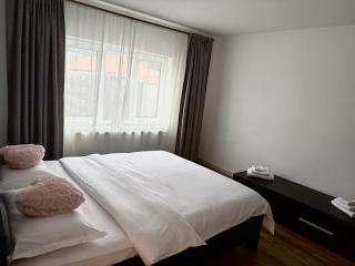 Victory Apartament - Ocna Mureş - 9