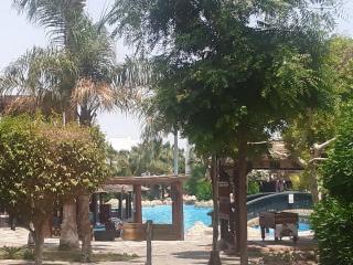 Delta sharm - Sharm el Sheikh - 4