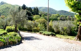 B&b Il Leccio - Subiaco - 5
