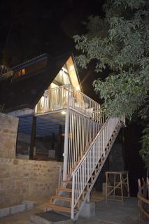 Musical Paradise - Solan - 9