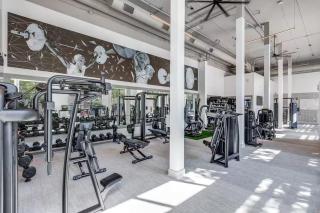Comfy Apartment in Frisco - Frisco - 4