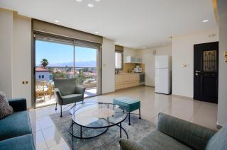 אקליפטוס אילת - 3