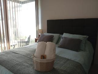 Departamento Edificio Aqua Pucón - 6