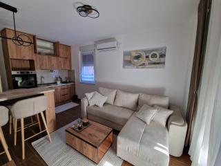 Apartman Miha Vrnjačka Banja - Vrnjci - 4