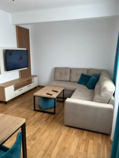 Zlatibor apartman - Zlatibor - 8