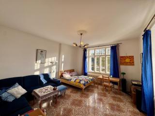 Luxurious apartment above the Colonade - Marienbad - 0