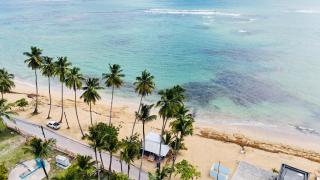 Las Ballenas Beachfront Apartments - Las Terrenas - 9