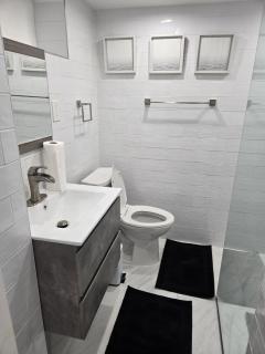 Modern Oasis 1 - Cambria Heights - 1