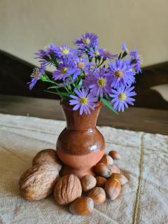 Casa-Dorina - Petrila - 0