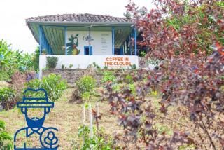 Santa Irene de Palomino - Sevilla Valle del Cauca - Sevilla - 3