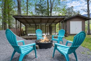 Cosby Mountain Lodge home - Cosby - 7