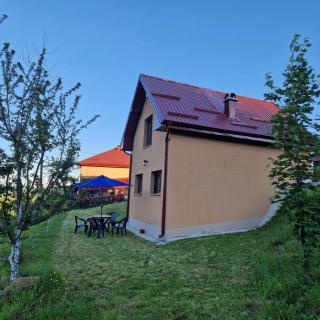 Vila Mica - STD Bojovići Zlatar - Nova Varoš - 8