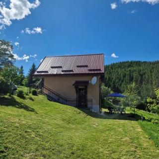 Vila Mica - STD Bojovići Zlatar - Nova Varoš - 9