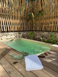 MeDaYa Selva Retreat - Tulum - 0