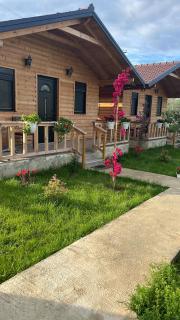 Guest House Dimal Berat - Pashalli - 3