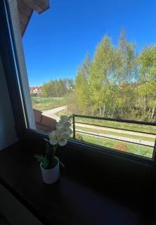 Apartamenty Adrenja - Rowy - 1