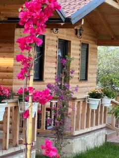 Guest House Dimal Berat - Pashalli - 8