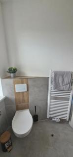 Ferienwohnung Schwalbennest - Großschirma - 2