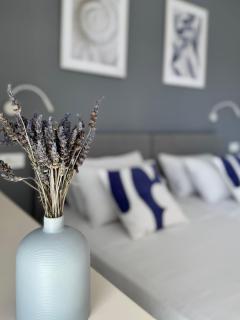 Zen Apartments - Laganas - 5