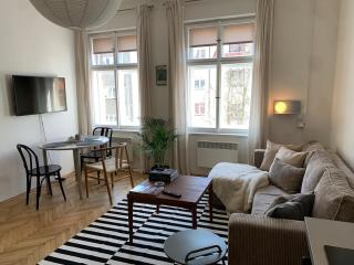Apartmán v srdci Tábora - Tábor - 0
