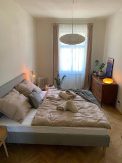 Apartmán v srdci Tábora - Tábor - 1