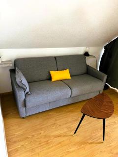 Bollwiller Modern Loft with Pool and Gym - Bollwiller - 9