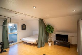 Bollwiller Modern Loft with Pool and Gym - Bollwiller - 3