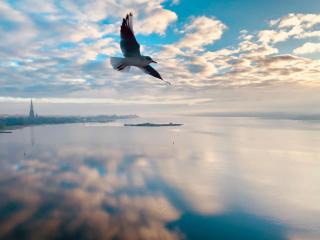 Panoramablick Ostseefjord Schlei - 4