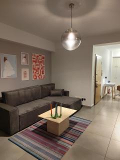 The elegant urban apartment - 4