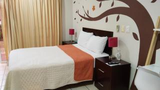 Terraza Studios - Cabo San Lucas - 7