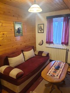 Vasilije Apartment - Žabljak - 4