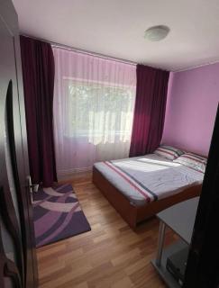 Apartament Cristo y Maria - Constanza - 4