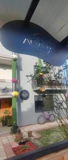 Agava Club - Sremska Kamenica - 4