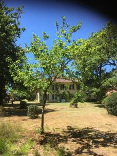 Grande demeure familiale - Pontenx-les-Forges - 2