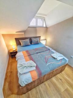 Vila Aleksandra 1 Sokobanja - 7