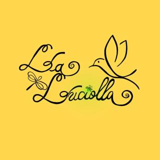 La Luciolla loft no centro de São Marcos - São Marcos - 4