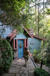 Wild Orchid Olinda Private Luxury Cottage - Olinda - 8