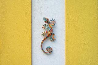 Casa do Sol - Bordeira - 4