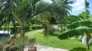 ROC cottage - Dickenson Bay - 9