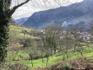 Apartamentos El Ardinal - 6