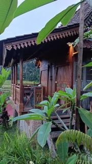D'Ume Bendoel Homestay - Jatiluwih - 8
