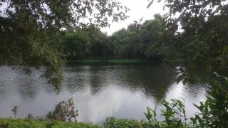Arham Retreat - 6
