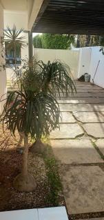 Villa atlantique - Skhirat - 5
