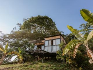Copoazú Glamping - Floridablanca - 5