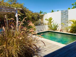 St Gilles les Bains- La Villa Passiflore, piscine & jacuzzi, plage à pied - Saint-Gilles-les-Bains - 9