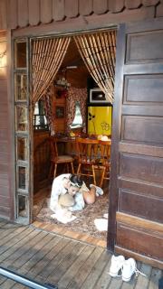Casa Na Árvore - São José dos Pinhais - 1
