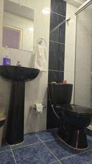 Hotel Valle del Café - Habitación 2 Familiar con 2 camas - 8